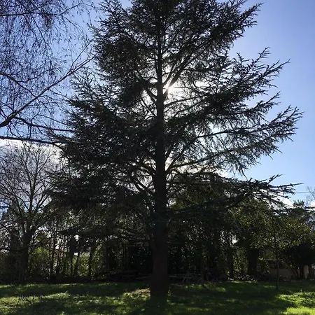 D'hote Le Cedre Bleu Frühstückspension